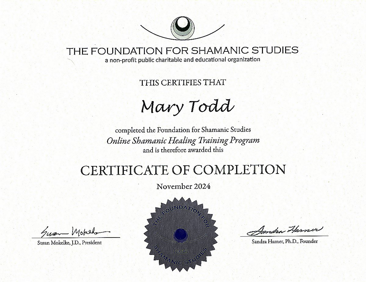 Foundation for Shamanic Studies (FSS) – Shamanic Healing Training